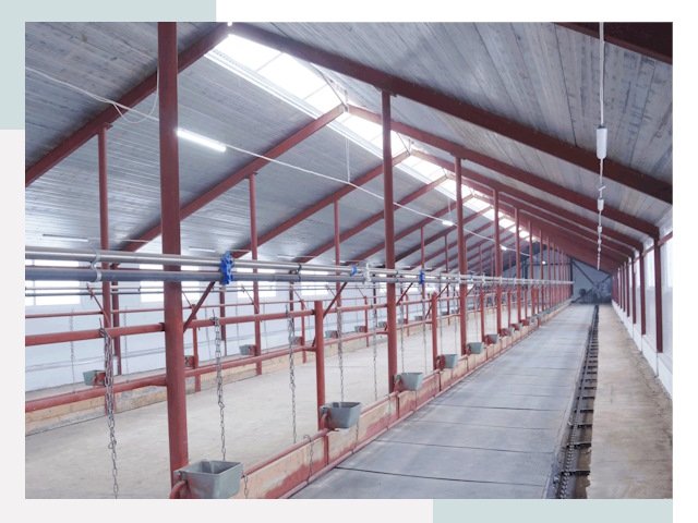 Строительство коровников в Губкине от 609 руб.