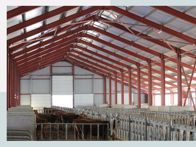 Строительство коровников в Губкине