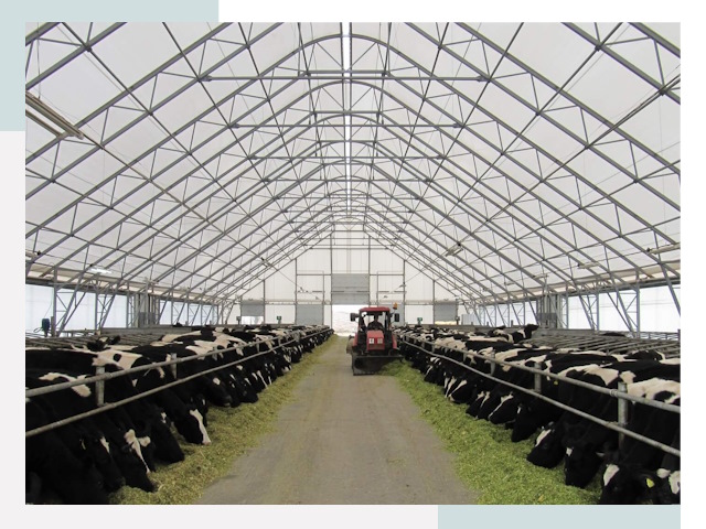 Тентовые коровники в Губкине от 609 руб. - Надежно и доступно